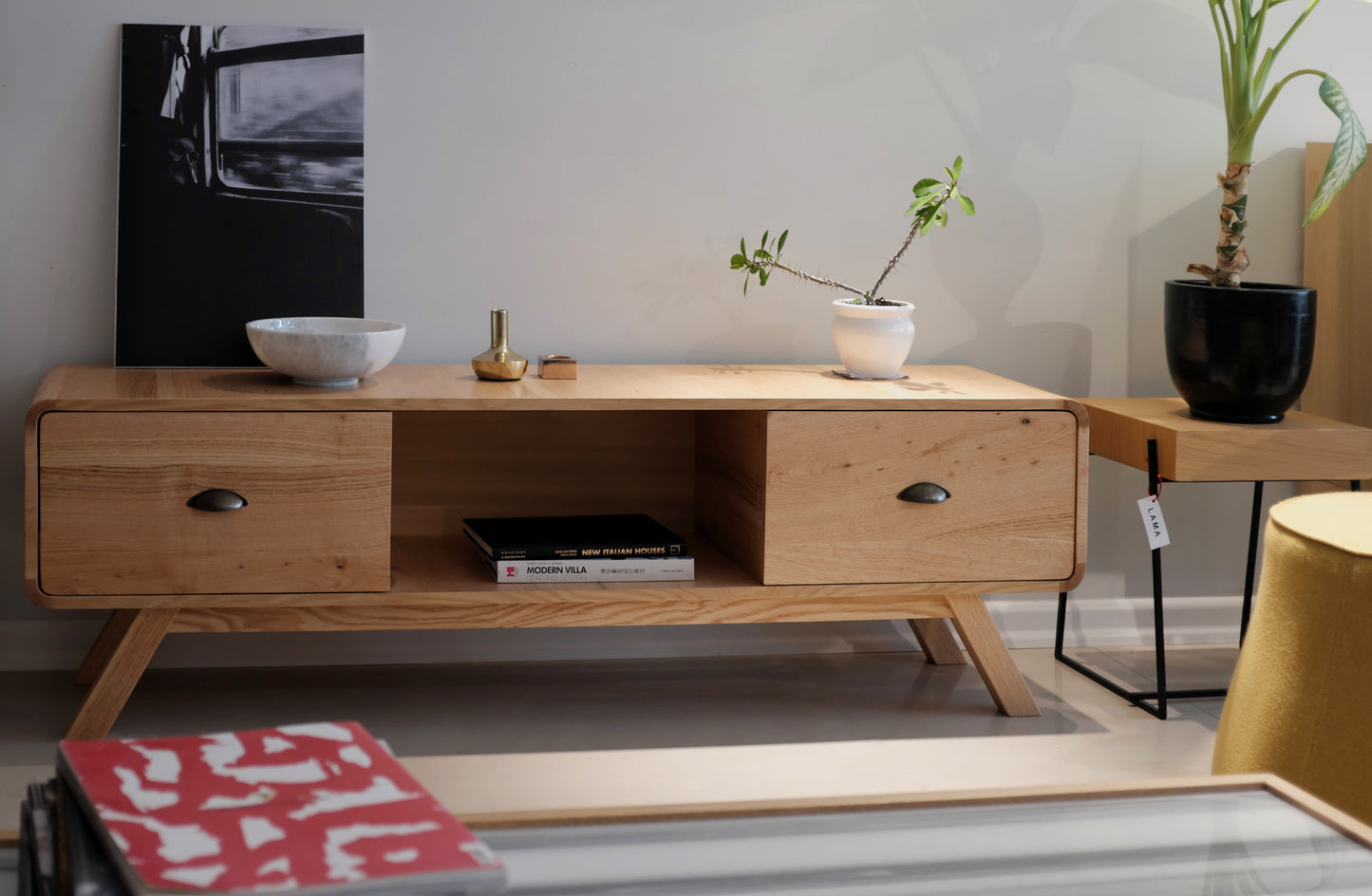 Aden Tv Unit